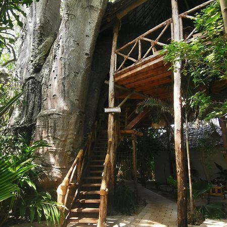 Baobab Africa Lodge Zanzibar Mtende Exterior photo